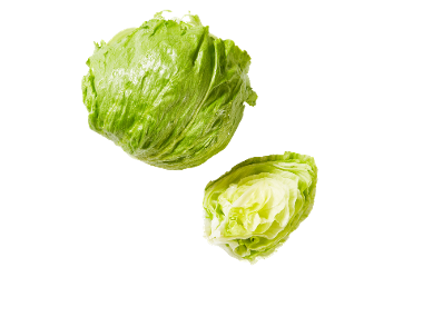 Salota Iceberg