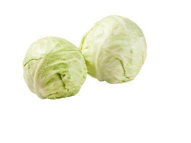 Baltagūžiai kopūstai