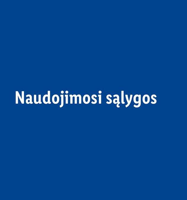 Naudojimosi sąlygos