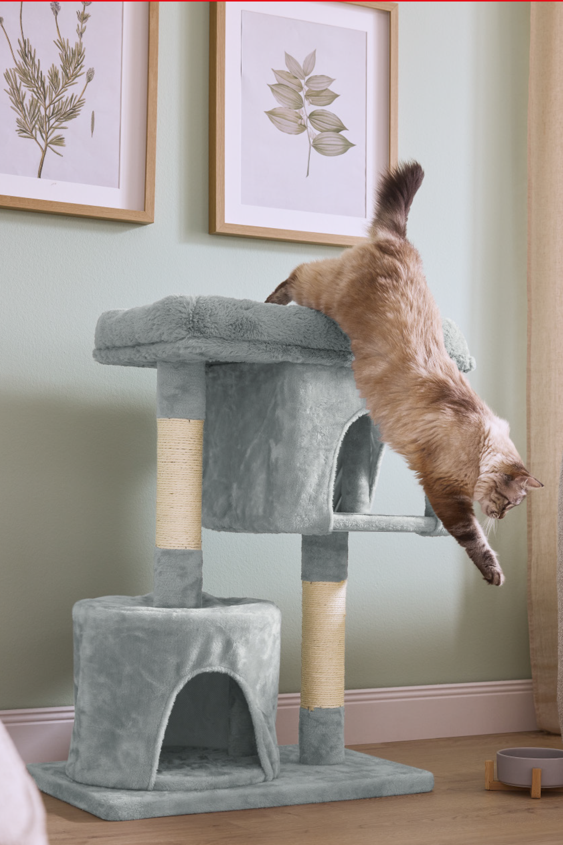 Pilkas kačių draskyklė su guoliais ir kačių maistas ant medinių grindų.