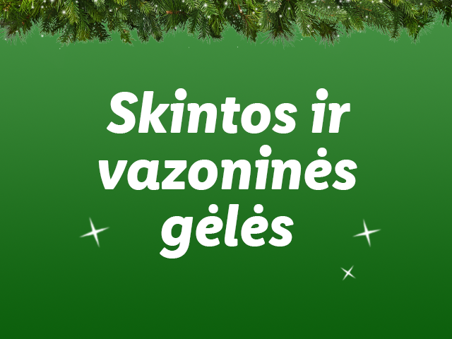 Lidl gėlės