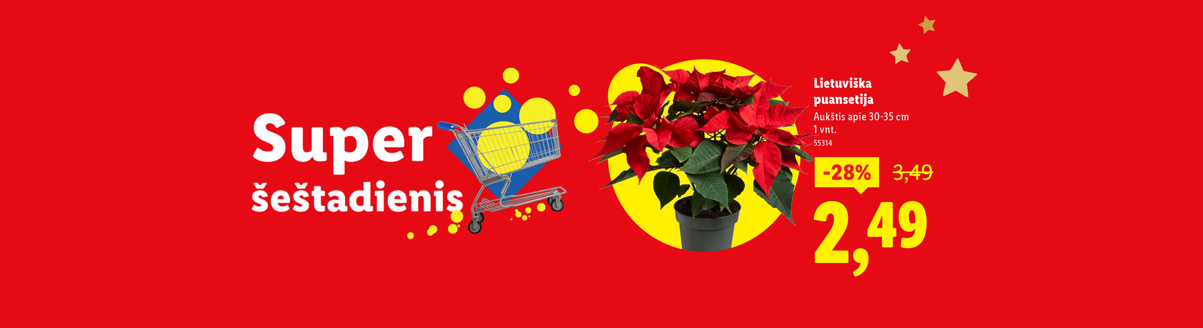 Reklama: „Super šeštadienis“ su nuolaida lietuviškai puansetijai.