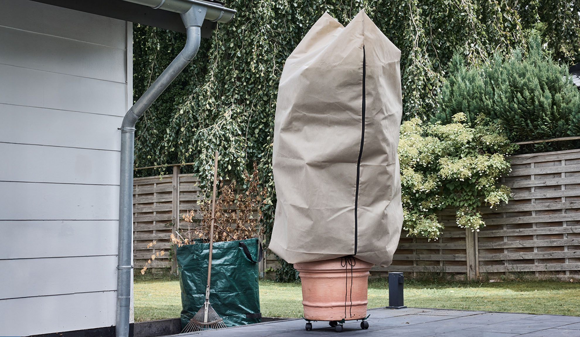 Augalų uždangalas ant vazoninio augalo terasoje su lataku ir grėbliu.