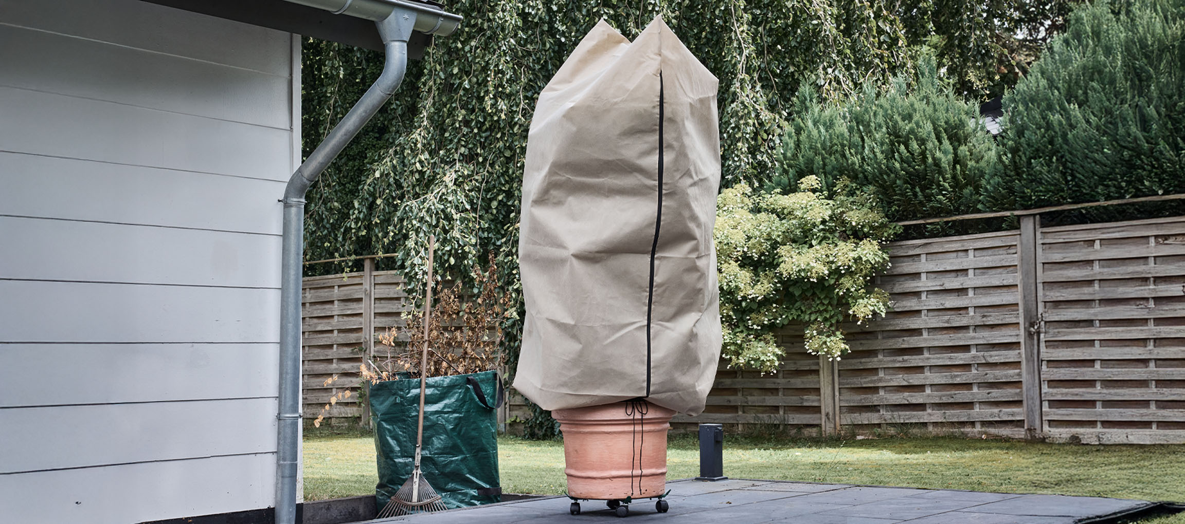 Vazonas su augalu ir žiemine apsaugine danga terasoje prie namo.