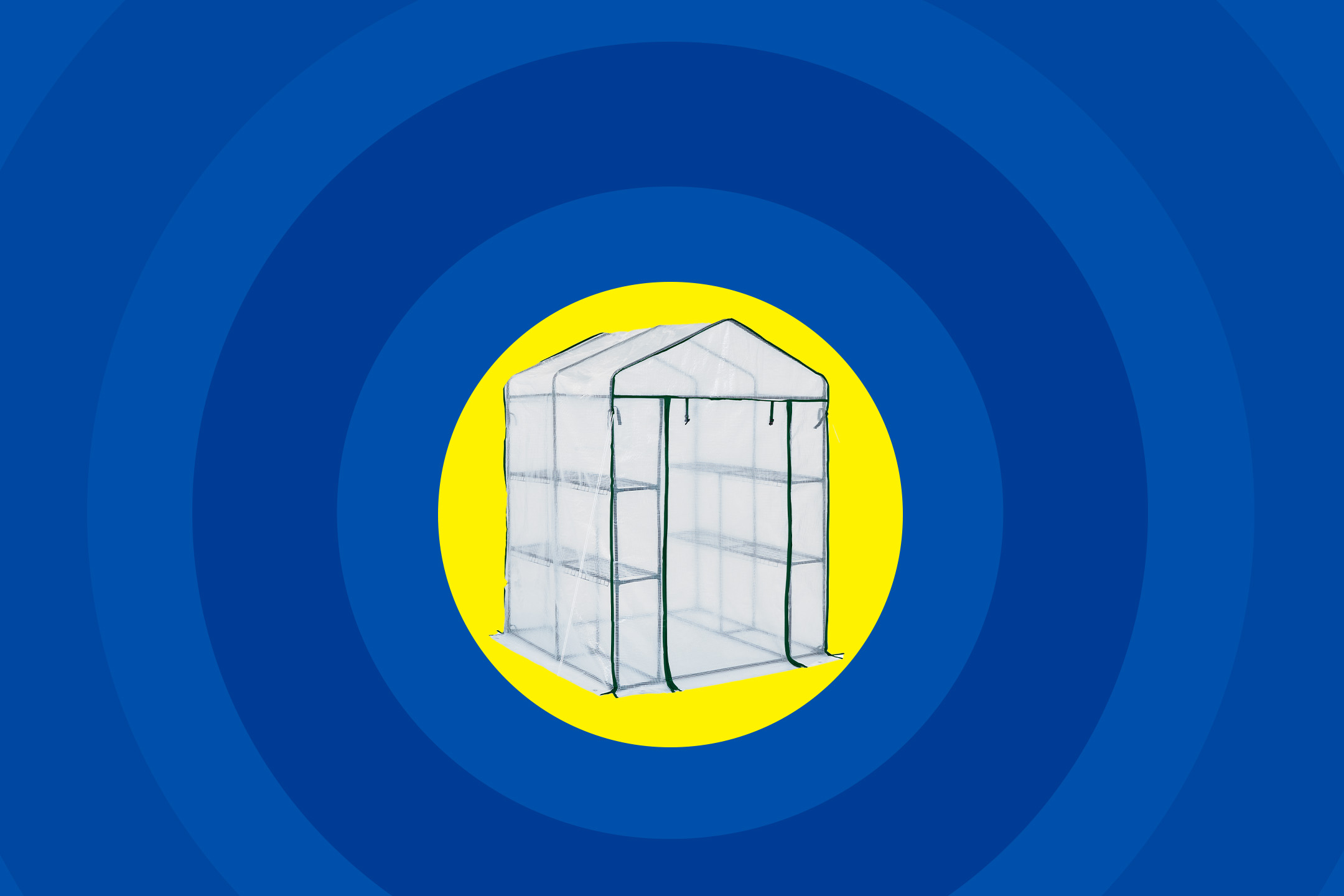 Šiltnamis su lentynomis mėlynai geltoname fone