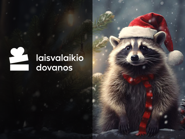 TIK 35 € Dovanų rinkinys „Stebuklingų Kalėdų“
