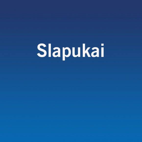 Slapukai